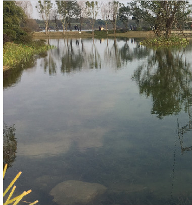 成都北湖(hú)