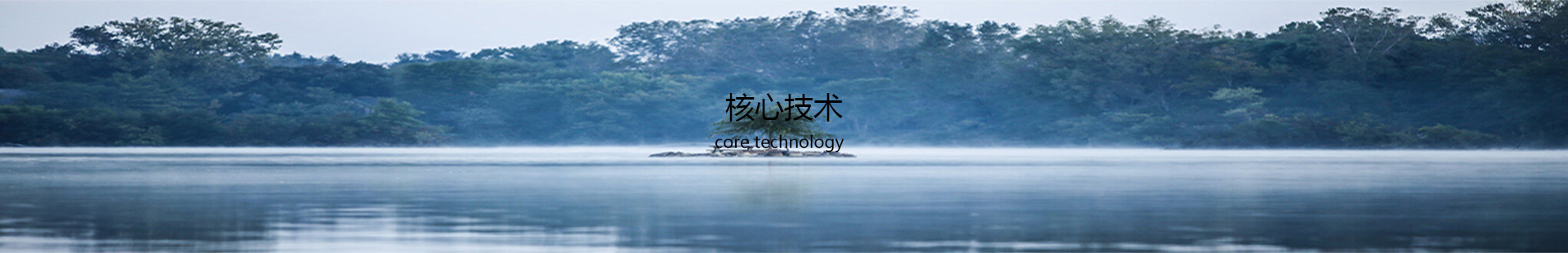 核心技(jì )術