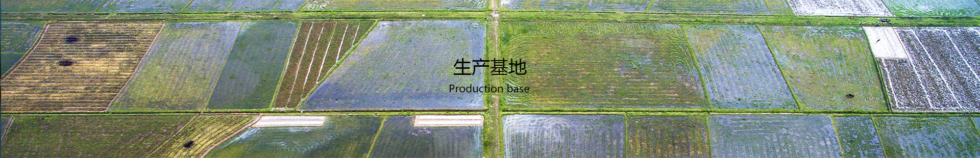 生产基地