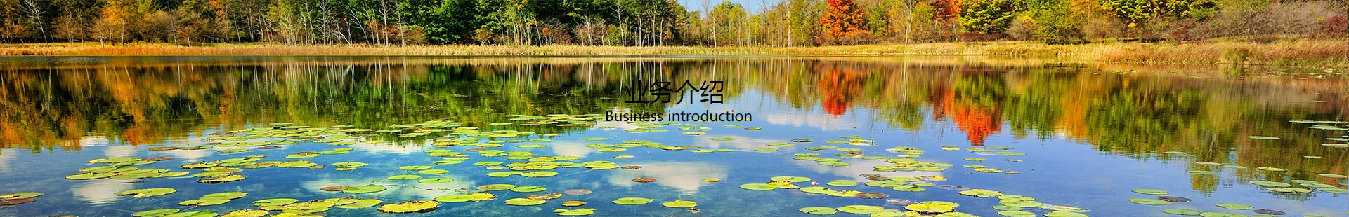 業務(wù)介紹