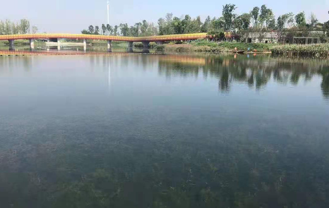 洪水恢复后.jpg